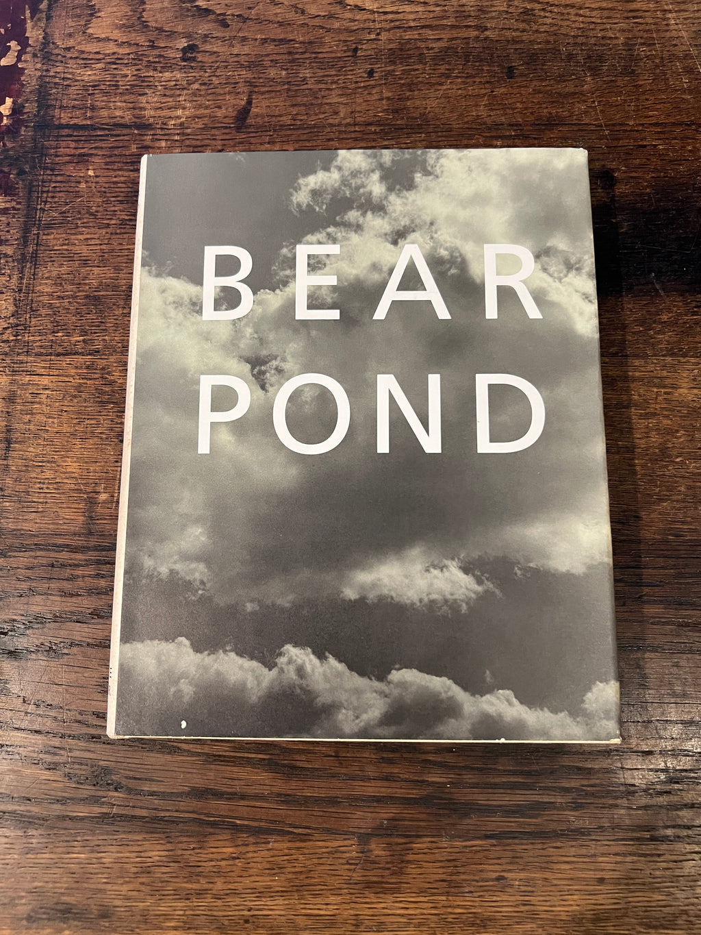 Bear Pond - Bruce Weber