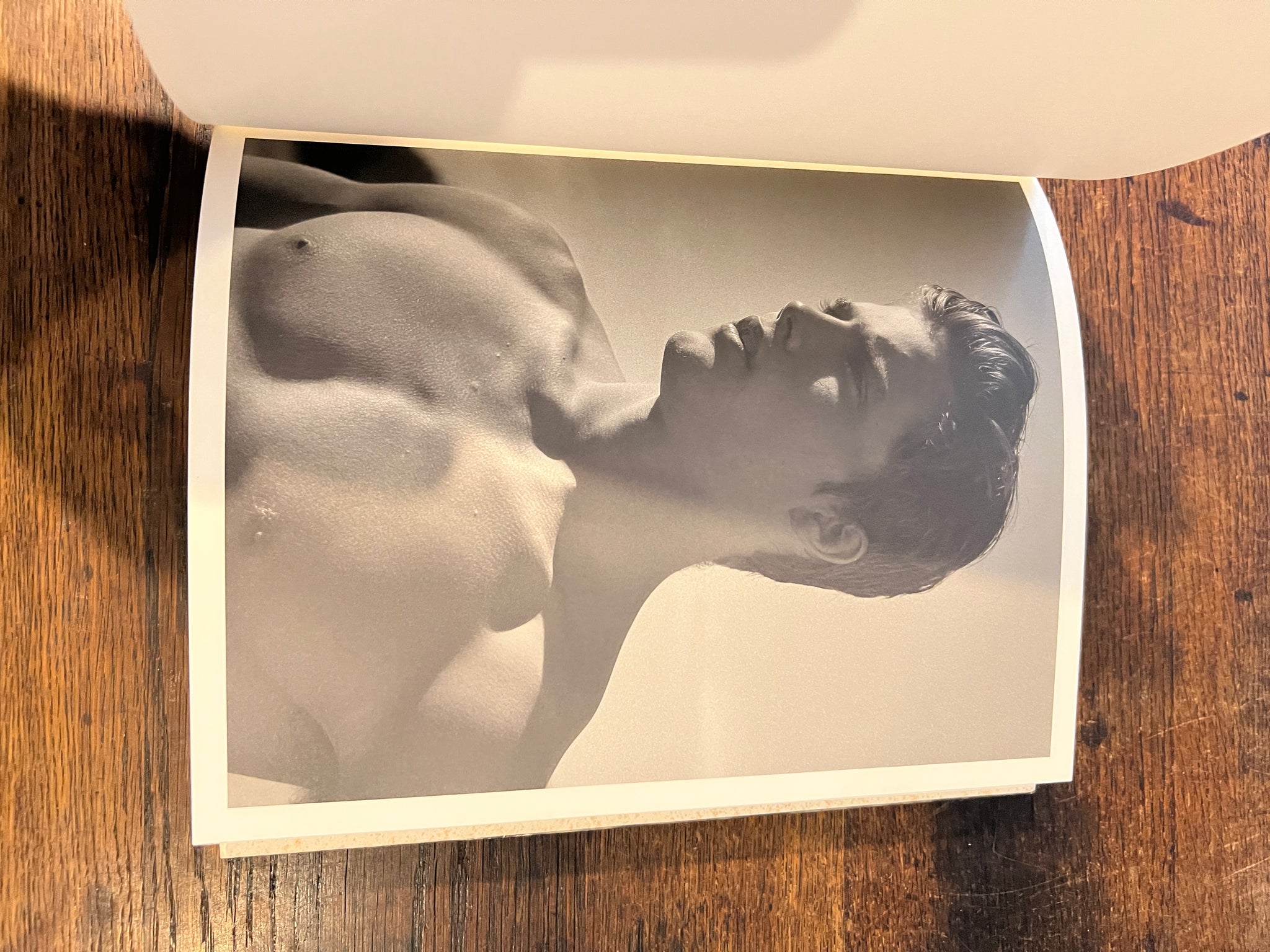 Bear Pond - Bruce Weber