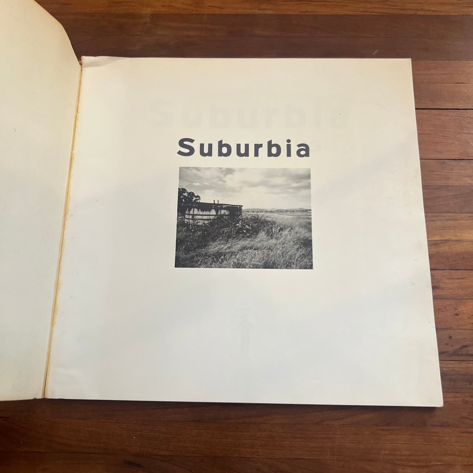 Suburbia - Bill Owens